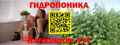 apvp Краснокаменск